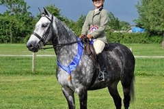 The grey rebel & Marilyn Bane