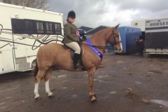 Charlotte France‎ & Hortons Groovey