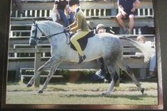 Jorja Smith and Bevois Crusader