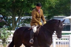 Rubins & Nathan Arnold