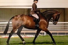 Oathill take the biscuit & Jess Cronk