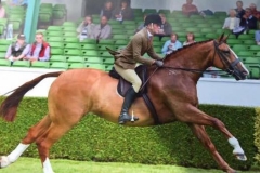 Gary Parr & Redemption ground