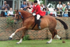 Golden inca cross & Karl standing