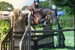 Hanmere Mavarick ridden by Sinead Cox
