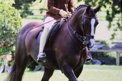 Scarlet Pye & seren goch ( Ruby)