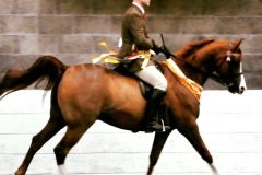 Ben Hester‎ & Sameon Marouhk