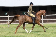 Emily Constable & MG Vaquero