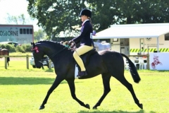 Ellie pollock & Stanley grange sophisticat Ellie pollock & Stanley grange sophisticat