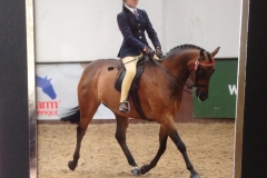 Mosscombe cheeky girl & Amelia Hayes Mosscombe cheeky girl & Amelia Hayes
