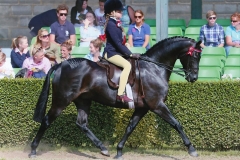 Tabitha Wood and Archwood Romeo Gigle Tabitha Wood and Archwood Romeo Gigle