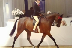 Cranbornes summer song & mia brown