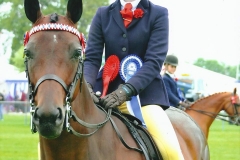 Georgie Darlington & Beauty on the Bay