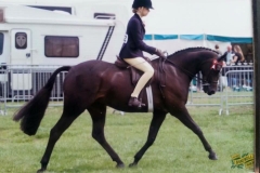 Greenbarrow Mr Darcy & Phoebe Rockss