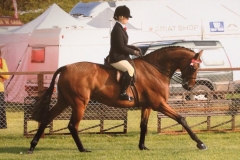 Imogen Trice & Royal Engagement