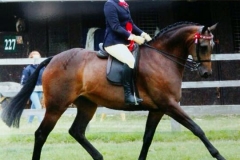 Kayleigh Catton & llanarth fair play