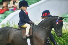 Kian Doherty riding Woodroyd celebration