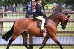 Poppy Brennand & Barkway State Affair