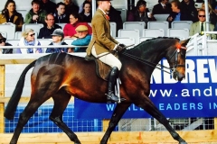 Espoir Just Fab & Peter Hodgkinson