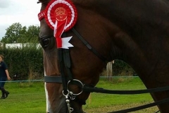 John Bland‎ & Covent Garden