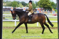 Kirstie Harris Caister & Epic Tale