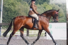 Chorley's A Touch Of Class & Alkan Dervish