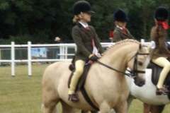 Rowfantina Llewellyn