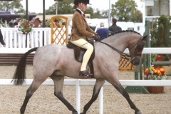 Annandale Earl Grey & Sophie Beaumont