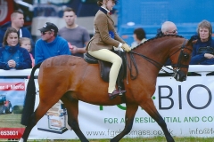 Barford Razamataz & Tori Thoma