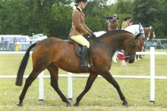 Georgina Veale & Cool Spirit