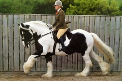 Liz Cross and Francil Silas