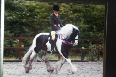 Tiger tim and alys matravers