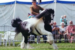 Zoe 'oe' Snowdon‎ & Dynamite