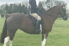 Hollylands maystar and Rae Colosso