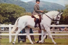 Action Hero and Becky Adla