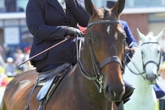 Cheryl Mcvay and Ballinakill