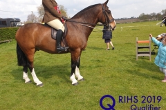 Hayley Pottle and Lockside bobby joe