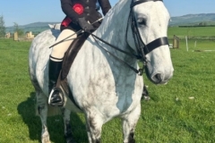 Katie-rehm-and-Wilsons-stan-the-man