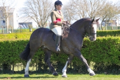 Charlotte-Butler-Horse_Pony-Cobpuccino