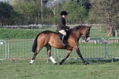 The North Of England Spring Show