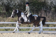 Isabel-Duncan-Horse_Pony-Artrim-Ned