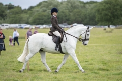 Tegan-Burrows-Horse_Pony-Jonny-Diamonds