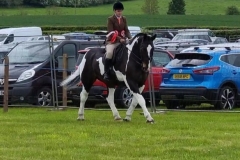 Sam-Winn-and-Curious-George