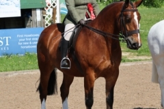 Lisa hardy and Cortina