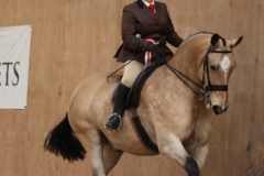 Tara-hunt-and-Kavannaghs-general-custer