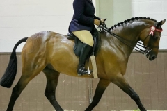 Danni-Radford-and-Ladies-Man