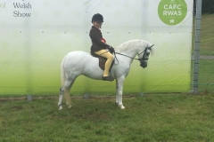 Thomas Payne and Brynely Lleucu