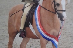 Anya Potter and Newtonhill Prince Albert