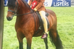 Newoak Star Edition and Ninky Head