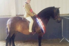 Paige hartley and pumphill brosnan