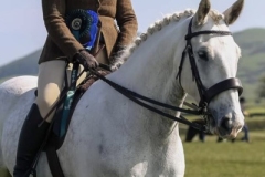 llie-McKean-and-Gracelandse-Herbert